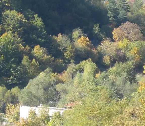 Family Veronika Hotel 2*