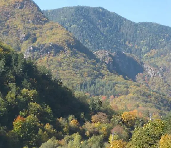 Family Veronika Hotel