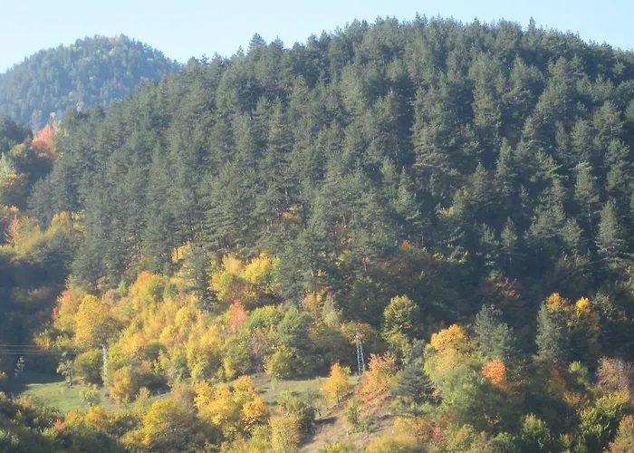 Family Veronika Hotel 2*