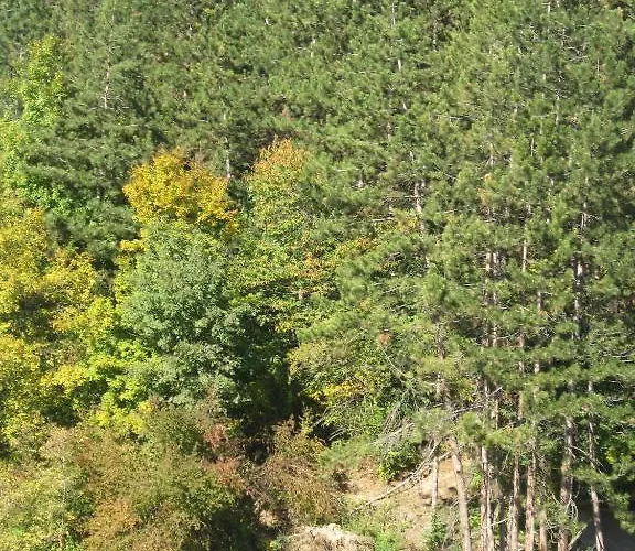 Hotel Family Veronika