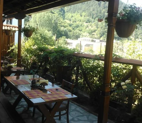 Family Veronika Hotel 2*